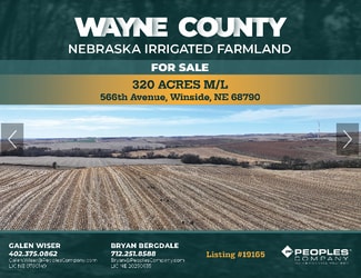 Plus de détails pour 848th Rd, Winside, NE - Terrain à vendre