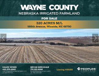 Plus de détails pour 848th Rd, Winside, NE - Terrain à vendre