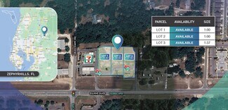 Plus de détails pour 36627 Eiland Blvd, Zephyrhills, FL - Terrain à louer