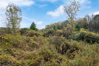 Plus de détails pour 2754 Millersburg Rd, Wooster, OH - Terrain à vendre