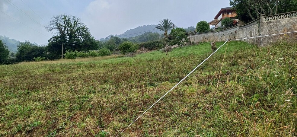 Pomarada Barrero. Illas, S/N, Illas, Asturias à vendre - Photo de l’immeuble – Image 3 sur 13