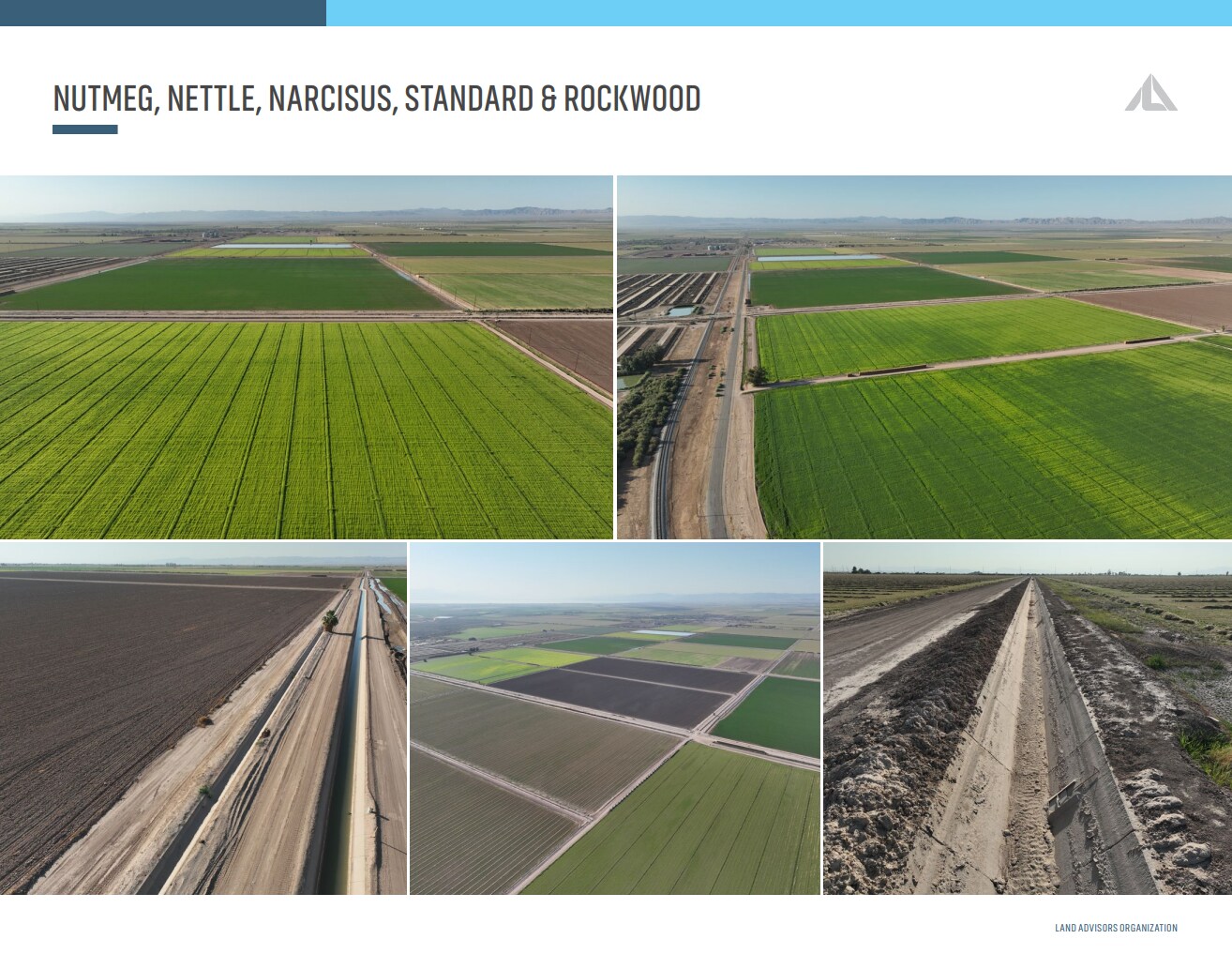 Nutmeg, Nettle, Narcisus, Standard & Rockwood, Calipatria, CA à vendre Photo principale– Image 1 sur 3