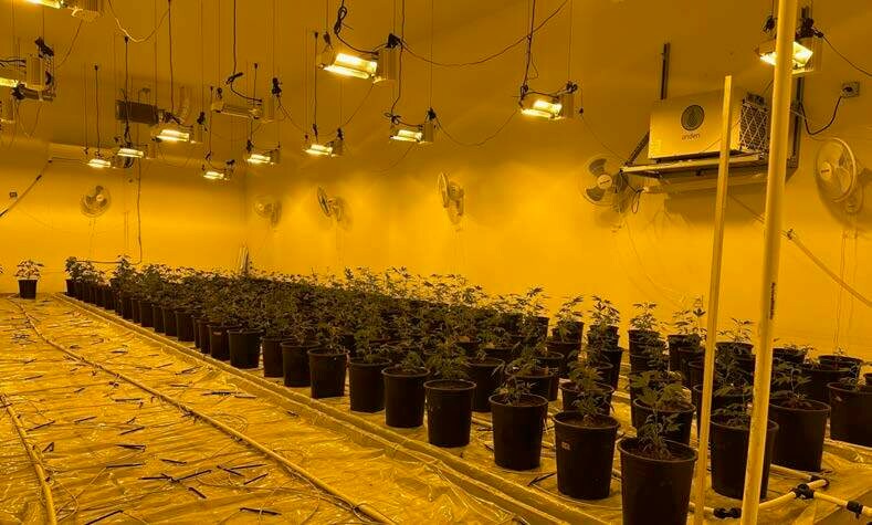Portland Net Leased Cannabis Portfolio portefeuille de 2 biens à vendre sur LoopNet.fr - Photo de l’immeuble – Image 2 sur 5