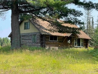 Plus de détails pour 26497 US-41, Covington, MI - Local d’activités à vendre