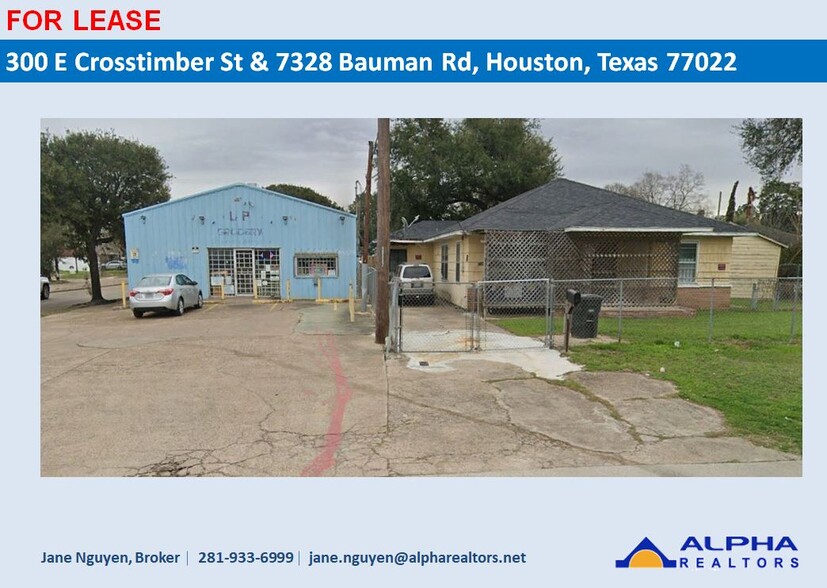 300 E Crosstimbers St, Houston, TX à louer - Photo de l’immeuble – Image 1 sur 5
