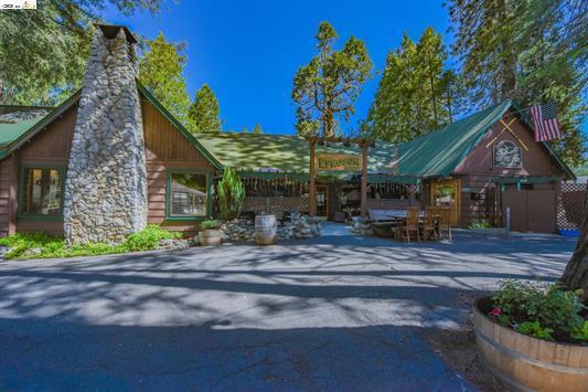 22930 Twain Harte Dr, Twain Harte, CA à vendre - Photo principale – Image 1 sur 16