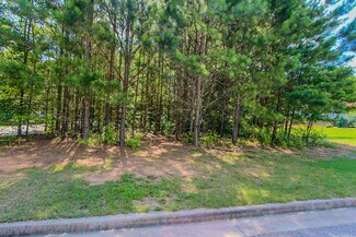 Plus de détails pour 180 Greencastle Rd, Tyrone, GA - Terrain à vendre