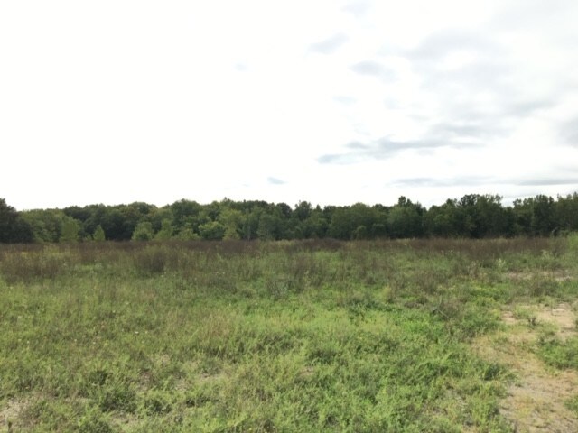 Oakville Waltz Rd, Ash Twp, MI à vendre - Photo de l’immeuble – Image 2 sur 6