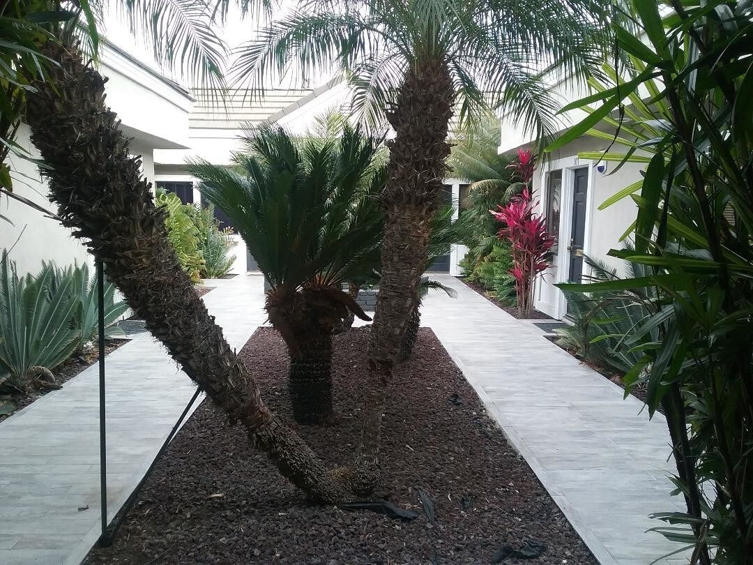 16131 Whittier Blvd, Whittier, CA à louer Photo de l’immeuble– Image 1 sur 8