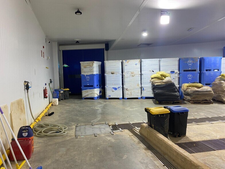 Industriel/Logistique dans Albal, Valencia à vendre - Photo intérieure – Image 3 sur 25