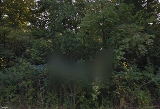 Plus de détails pour 6364 Athens St, Lula, GA - Terrain à vendre