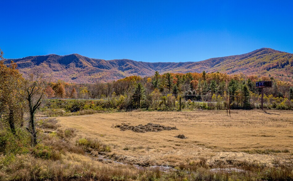 865 Blue Ridge Rd, Black Mountain, NC à vendre - Photo de l’immeuble – Image 3 sur 11