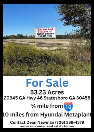 Plus de détails pour 20945 Georgia 46 Hwy, Pembroke, GA - Terrain à vendre