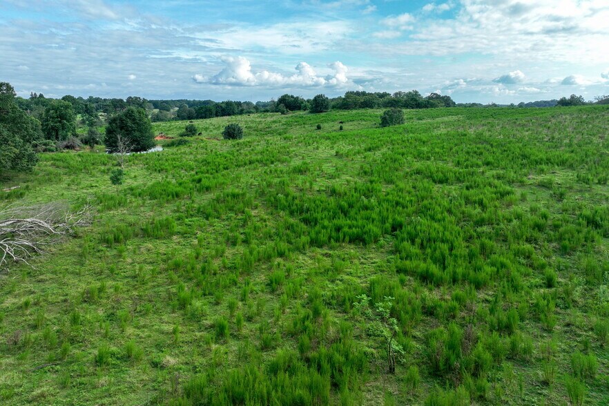 0 Turkey Creek Rd, Carnesville, GA à vendre - Photo de l’immeuble – Image 2 sur 24