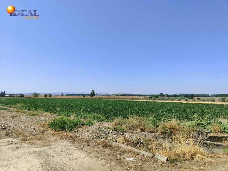Carretera de Pinos Puente, Atarfe, Granada à vendre - Aérien – Image 3 sur 7