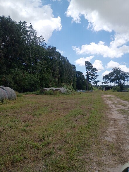 6111 County Road 203, Liverpool, TX à vendre - Autre – Image 3 sur 13