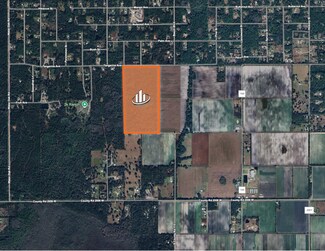 Plus de détails pour 0 Tangerine Avenue, Bunnell, FL - Terrain à vendre