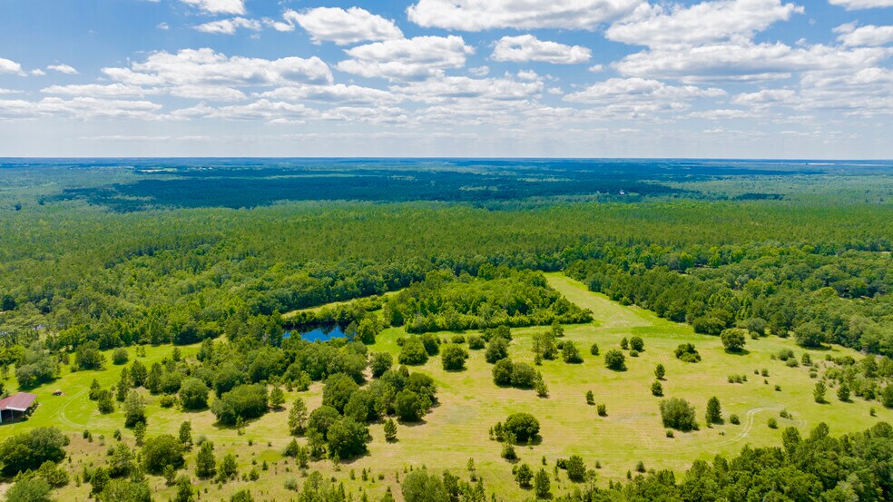 0 Kings Landing Road, Seminole, AL à vendre - Photo principale – Image 1 sur 15