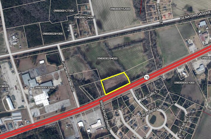 40 Acres Highway 76, Mullins, SC à vendre - Photo de l’immeuble – Image 3 sur 3