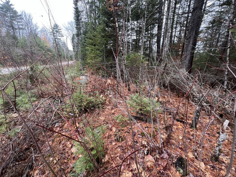 Gray Fox Road, Effingham, NH à vendre - Photo principale – Image 2 sur 8