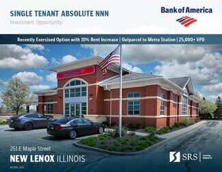 Plus de détails pour 251 E Maple St, New Lenox, IL - Local commercial à vendre