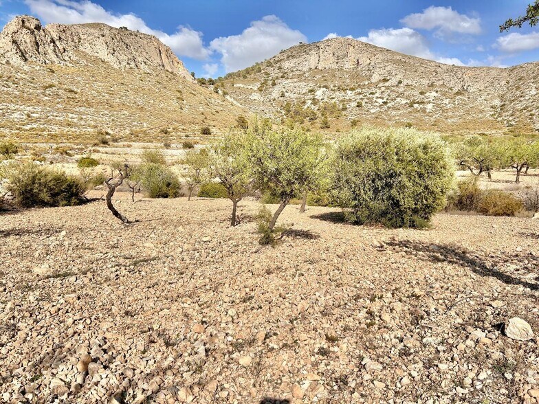 Terrain dans Orihuela, Alicante à vendre - Aérien – Image 1 sur 4