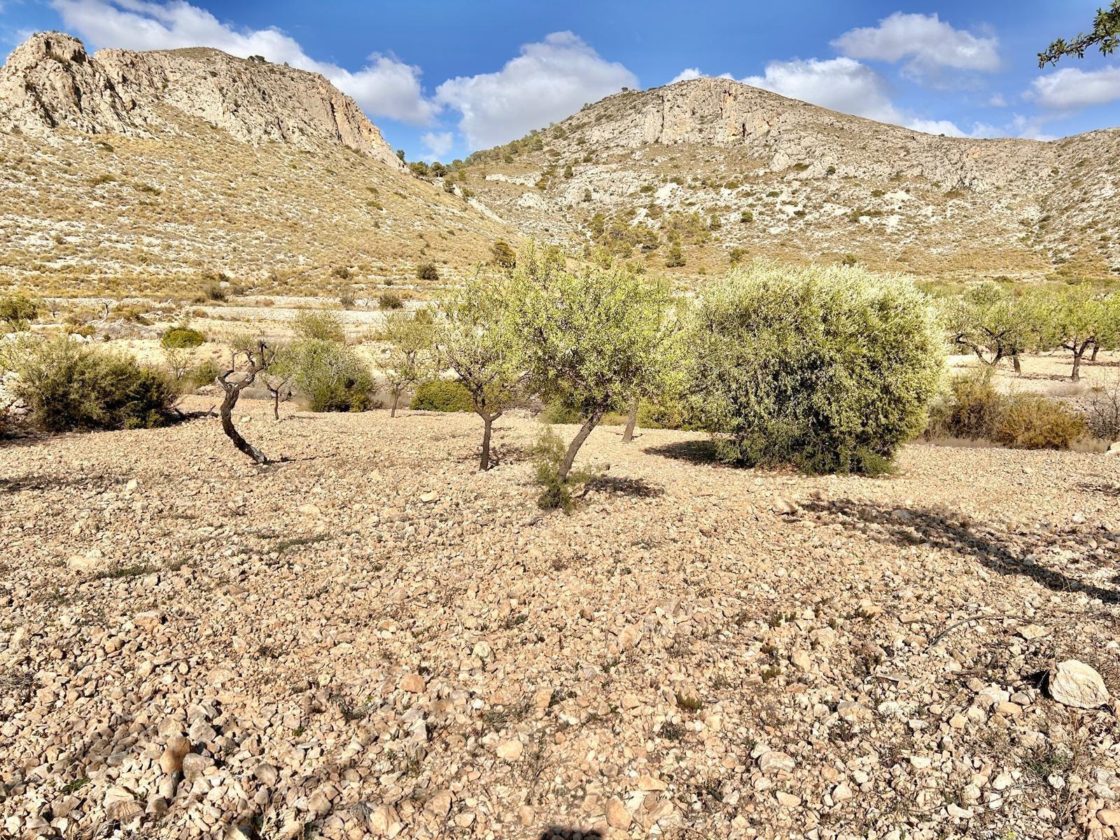 Terrain dans Orihuela, Alicante à vendre Aérien– Image 1 sur 5