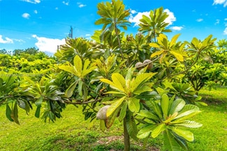 Plus de détails pour 164 SW 192nd Ave, Miami, FL - Terrain à vendre