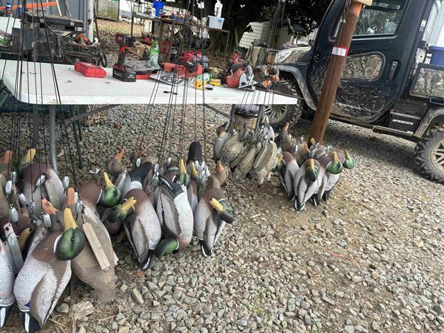 293 E Sidney Noble Ln, DeWitt, AR à vendre - Photo principale – Image 2 sur 49