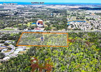 Plus de détails pour 3005 Moccasin Wallow Rd, Palmetto, FL - Terrain à vendre