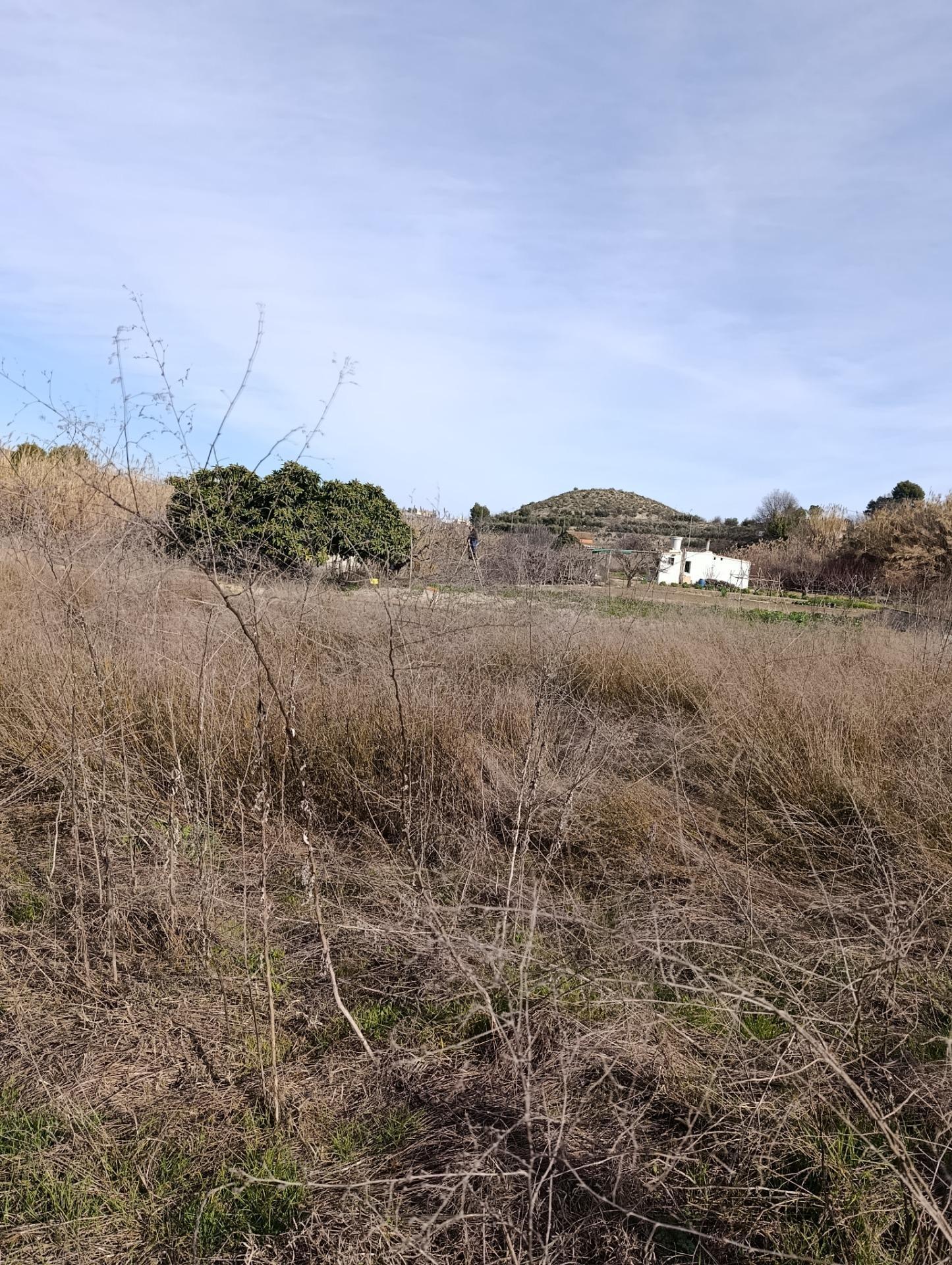 Terrain dans Cehegín, Murcia à vendre Photo de l’immeuble– Image 1 sur 9