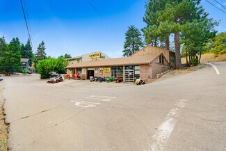 Plus de détails pour 26325 Pine Ave, Rimforest, CA - Local commercial à vendre