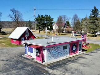 Plus de détails pour 65 State Route 96 Rt, Owego, NY - Local commercial à vendre