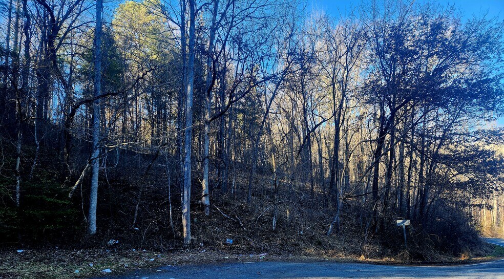 Lyle Wilson Rd, Cullowhee, NC à vendre - Autre – Image 3 sur 4