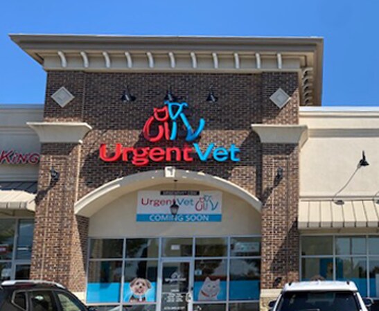 405-435 Peachtree Pky, Cumming, GA à louer - Photo de l’immeuble – Image 2 sur 2