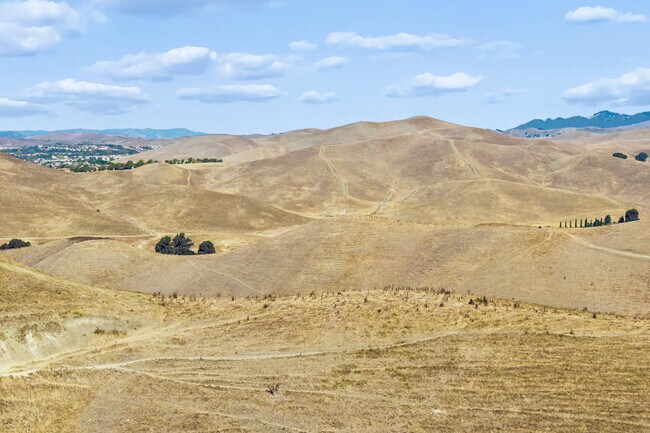 Plus de détails pour 6401 Camino Tassajara, Pleasanton, CA - Terrain à vendre