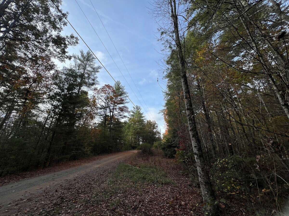 View Photo