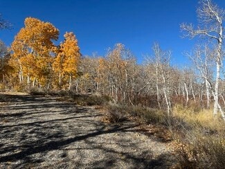 Plus de détails pour Crowley Lake Dr, Mammoth Lakes, CA - Terrain à vendre
