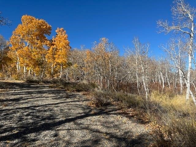 Crowley Lake Dr, Mammoth Lakes, CA à vendre Photo principale– Image 1 sur 5