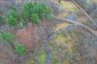 Plus de détails pour 188 Cummings Rd Pulaski NY, Pulaski, NY - Terrain à vendre
