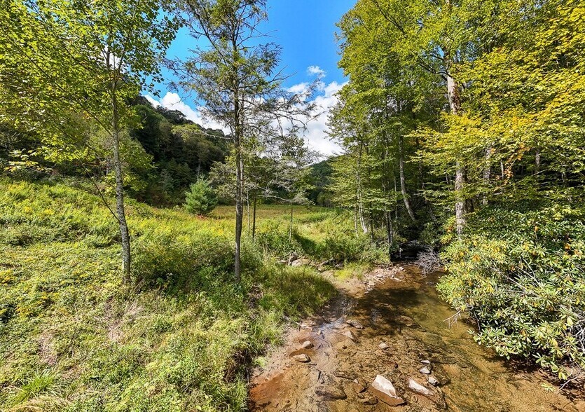 9765 Little Snowbird Rd, Robbinsville, NC à vendre - Photo de l’immeuble – Image 2 sur 5