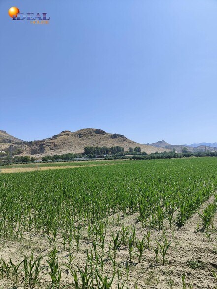 Carretera de Pinos Puente, Atarfe, Granada à vendre - Photo principale – Image 1 sur 7