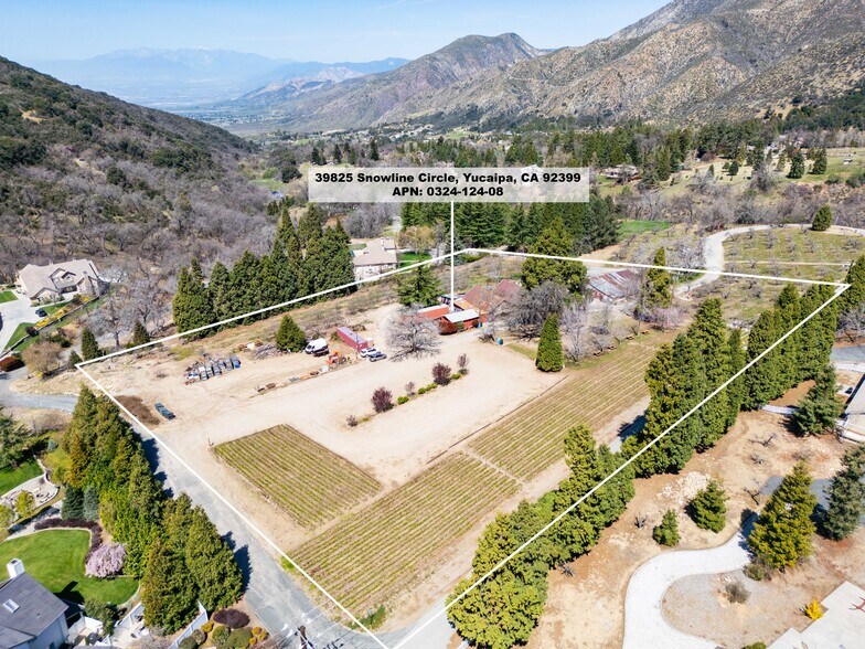 39285 Snowline Circle, Oak Glen, CA à vendre - Photo de l’immeuble – Image 3 sur 32