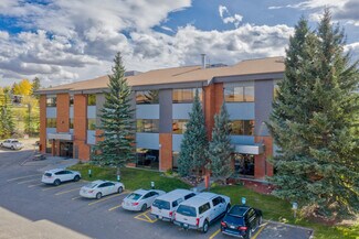 Plus de détails pour 801 Manning Rd NE, Calgary, AB - Bureau à louer
