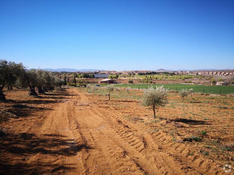 Terrain dans Layos, Toledo à vendre - Photo principale – Image 1 sur 9