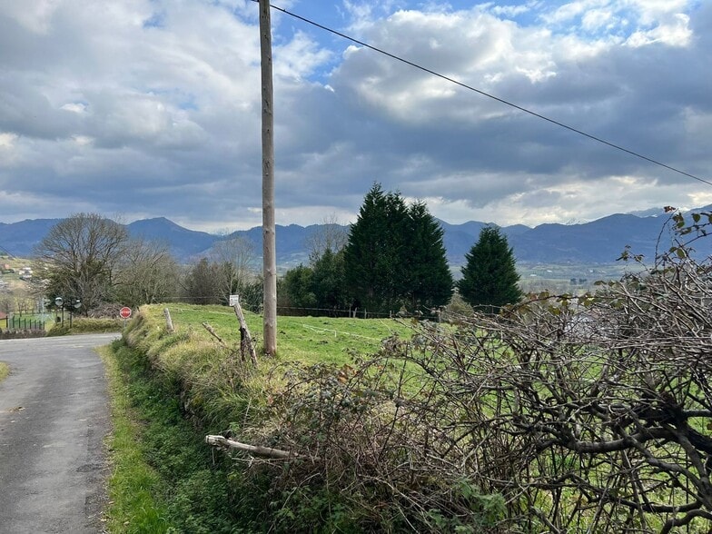 Alameda Cuenya, 25, Nava, Asturias à vendre - Aérien – Image 2 sur 4
