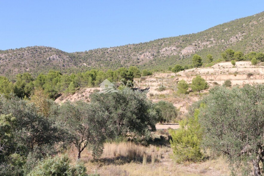 Terrain dans MONÒVER, Alicante à vendre - Photo principale – Image 3 sur 23