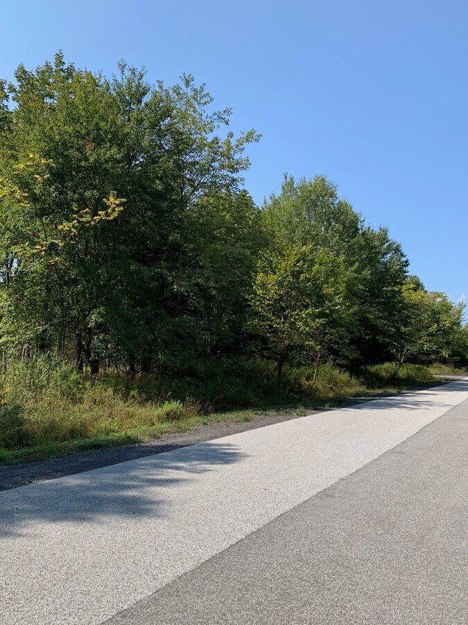 View Photo