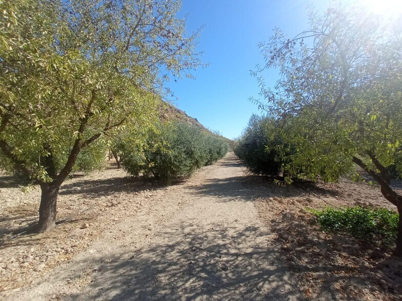 Terrain dans Lorca, Murcia à vendre - Photo de l’immeuble – Image 2 sur 41