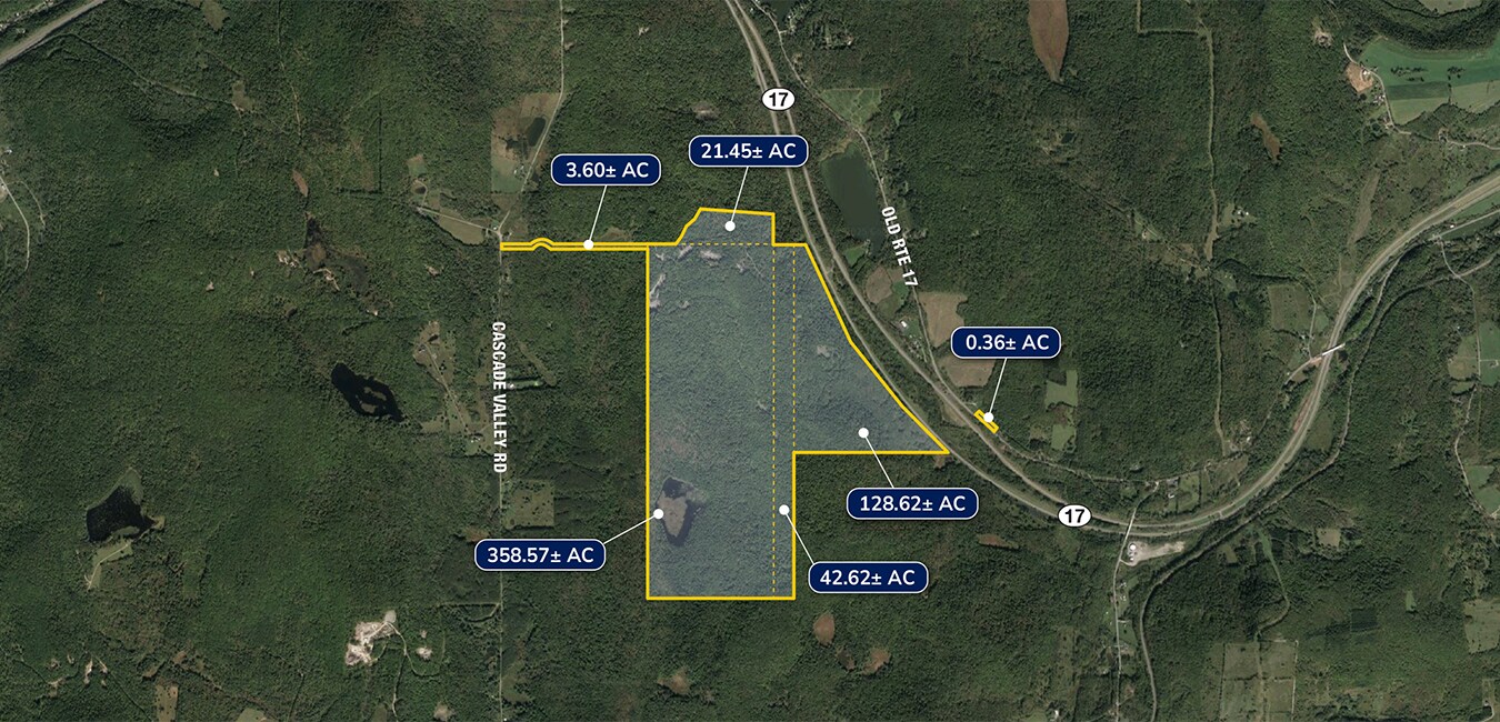 2332 Old Rte 17, Windsor, NY à vendre Photo principale– Image 1 sur 6